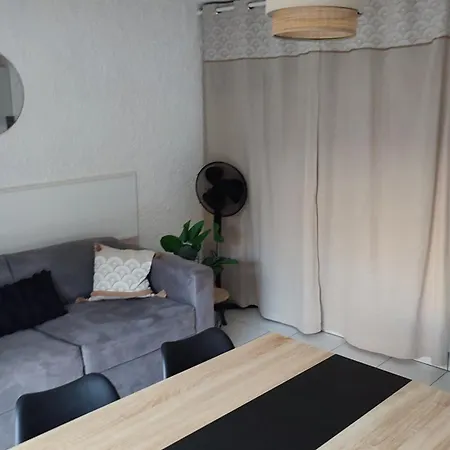 T2 Rdc Avec Jardin, Cap D'agde, Secteur Falaise, 100 M Plage, Clim, Wifi, Parking Appartement