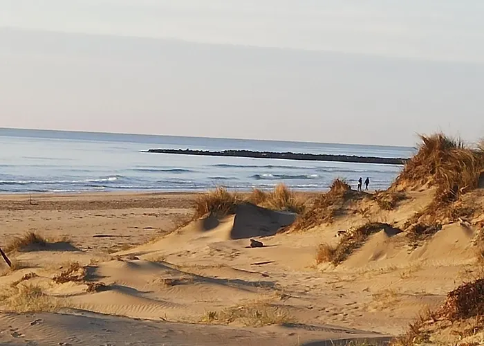 T2 Rdc Avec Jardin, Cap D'agde, Secteur Falaise, 100 M Plage, Clim, Wifi, Parking * Agde